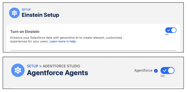 Einstein Set Up Window Screenshot